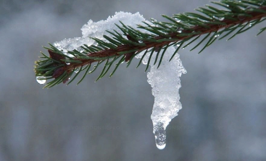 На выходных в Ростовской области может пойти снег, днем – потепление, ночью – мороз
