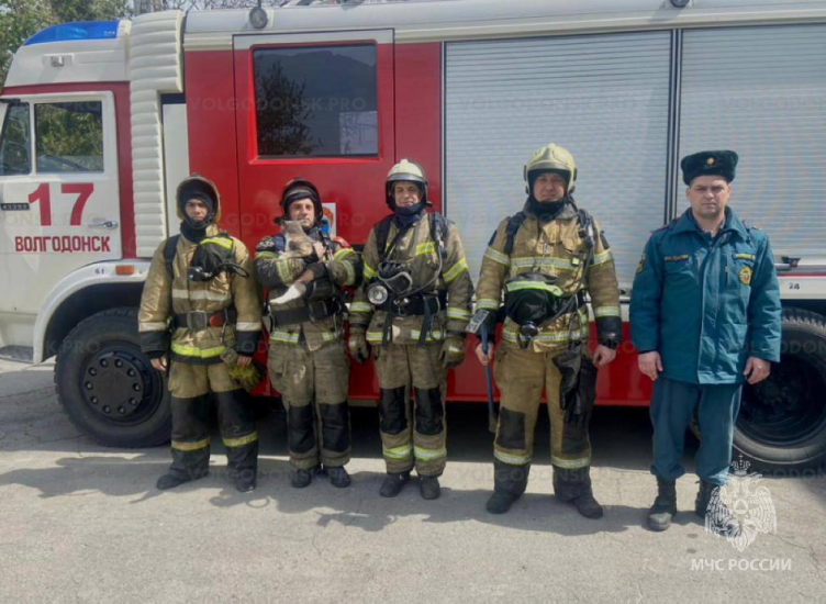 В Волгодонске пожарные спасли двух кошек из задымленной квартиры